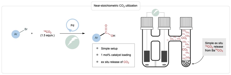 Researchers at Department of Chemistry and iNANO, Aarhus University, have developed a new method for carbon isotopic labeling that may enhance drug safety evaluations and expediting pharmaceutical development.